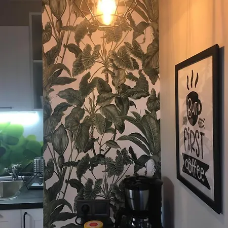 Super Punkt Zabianka /sopot アパート *